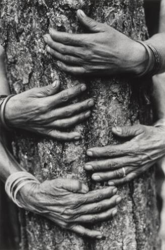 Chipko Tree Huggers of the Himalayas #75