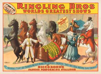 Ringling Bros: Riccobono's Famous Performing Stallions