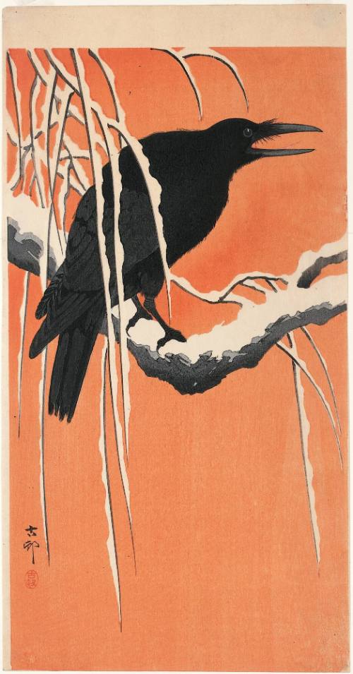 Crow on Snowy Branch