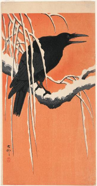 Crow on Snowy Branch