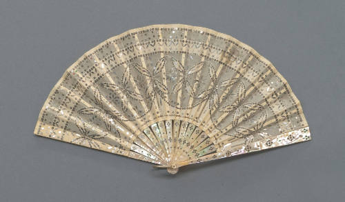 Evening Fan