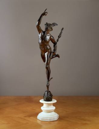 Flying Mercury