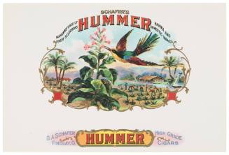 Schafer's Hummer (Cigar Box Label)