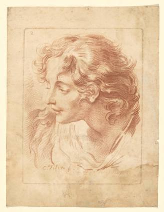 Head of a Youth