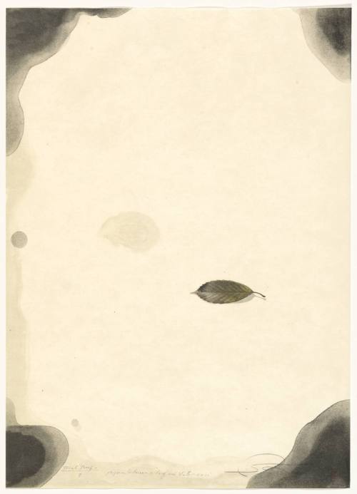Paper Between Leaf and Water, No. 11