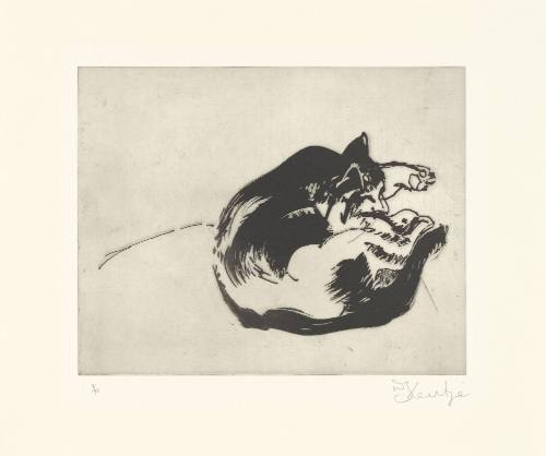 Sleeping Cat