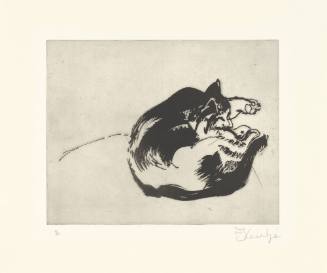 Sleeping Cat
