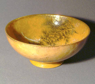 Salad Bowl
