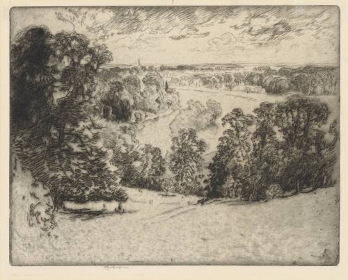 Thames from Richmond Hill