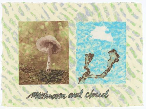 Mushroom and Cloud from the series "And"