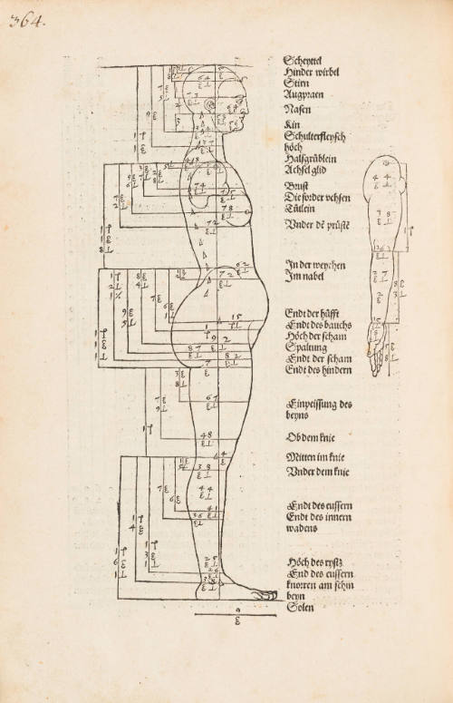 Four Books on Human Proportion (Hierin sind Begriffen vier bÃ¼cher von menschlicher Proportion