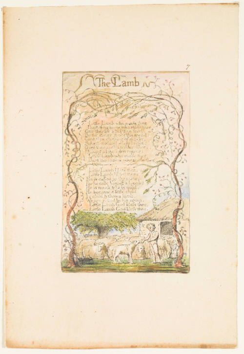 The Lamb