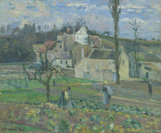 Cabbage Patch Near the Village
