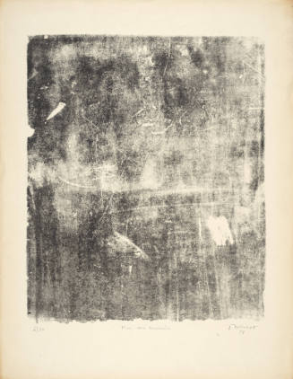 Wall of Memories (Mur aux souvenirs), plate 5 from portfolio 4 titled The Taker of Imprints (Le Preneur d'empreintes), from the Phenomena (Les Phénomènes) series