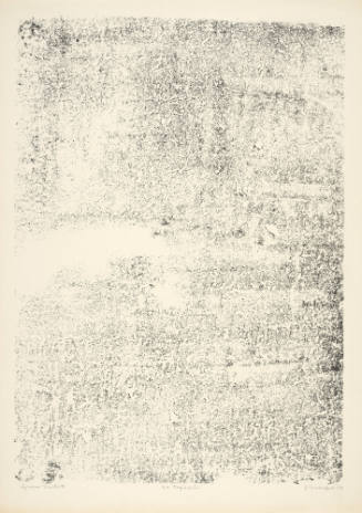 Tapistry (La tapisserie), plate 3 from portfolio 7 titled Territories (Territoires), from the  Phenomena (Les Phénomènes) series