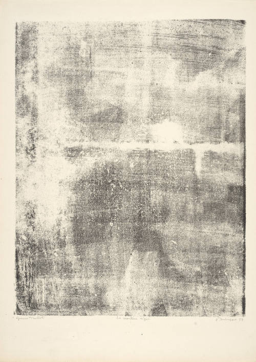 Thin Veneer (Le manteau léger), plate 4 from portfolio 7 titled Territories (Territoires),  from the Phenomena (Les Phénomènes) series