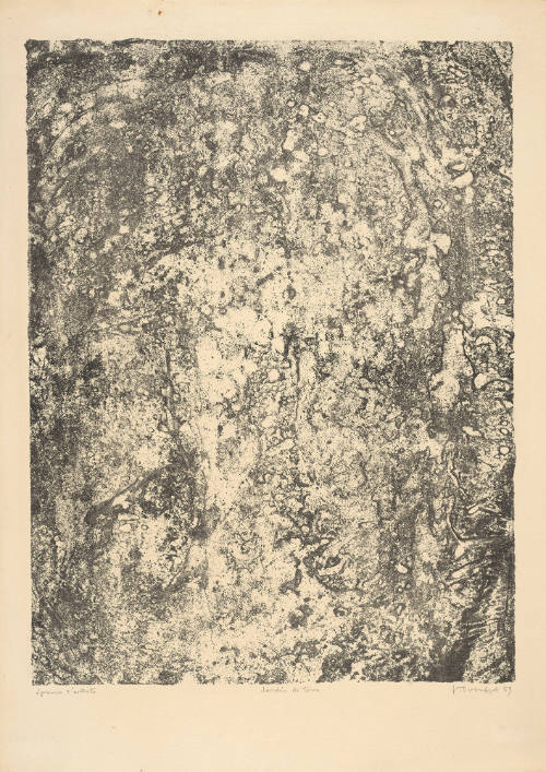 Earth Garden (Jardin de terre), plate 17 from  portfolio 7 titled Territories (Territoires), from the Phenomena (Les Phénomènes) series