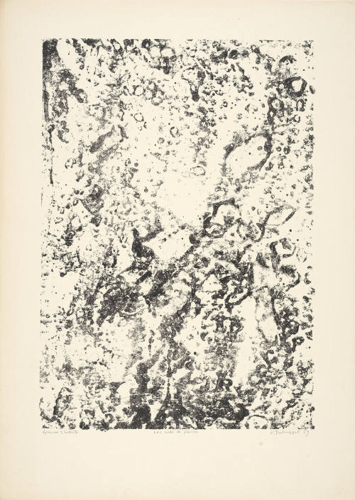 Nest of stones (Les nids de pierres), plate 6 from portfolio 8 titled Theater of the Earth (Théâtre du sol), from the  Phenomena (Les Phénomènes) series