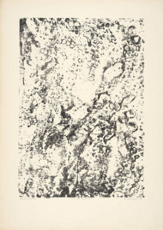 Nest of stones (Les nids de pierres), plate 6 from portfolio 8 titled Theater of the Earth (Théâtre du sol), from the  Phenomena (Les Phénomènes) series
