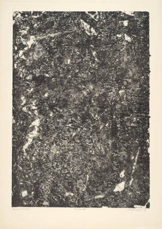 Torments (Tourments), plate 12 from portfolio 9 titled Soil, Earth (Sols, terres),  from the Phenomena (Les Phénomènes) series