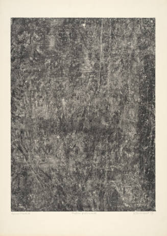 Quivering Texture (Texture frémissante), plate 14 from  portfolio 9 titled Soil, Earth (Sols, Terres), from the Phenomena (Les Phénomènes) series