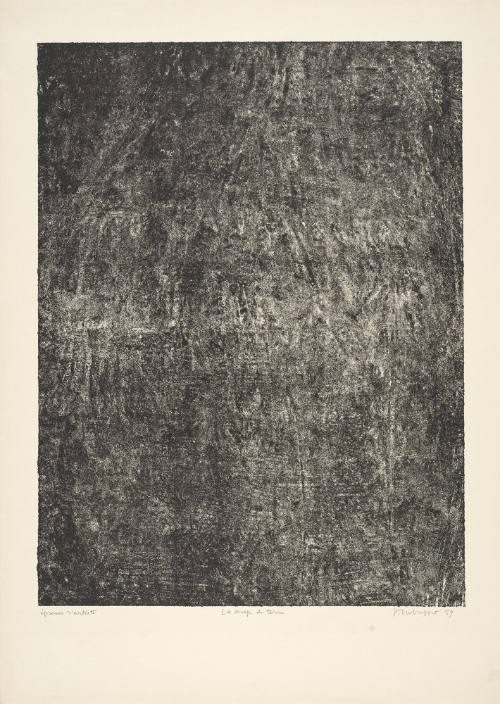 Sheet of Earth (Le drap de terre) plate 15 from portfolio 9 titled  Soil, Earth (Sols, Terres), from the Phenomena (Les Phénomèmes) series