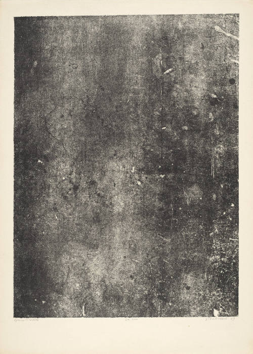 Soot (La suie), plate 6 from portfolio13 titled  Expanses, Partitions (Etendues, Parois), from the Phenomena (Les Phénomènes) series