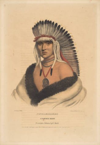 PETALESHAROO, A Pawnee Brave