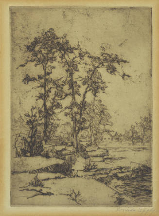 Rocky Shore, Littlie Miami ?