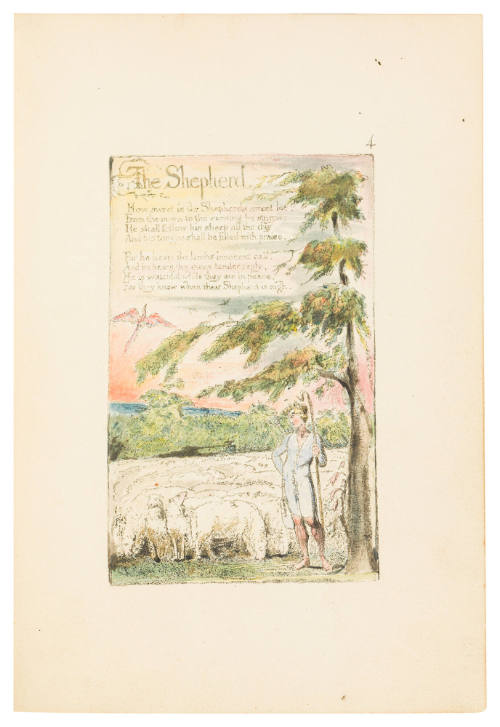 The Shepherd