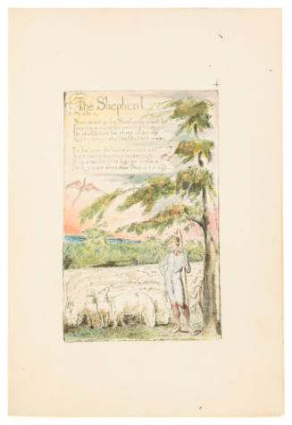 The Shepherd
