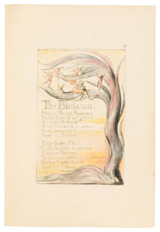 The Blossom