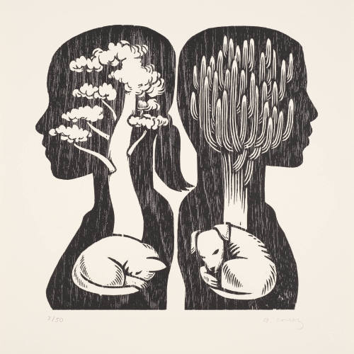 Igualdad / Equality