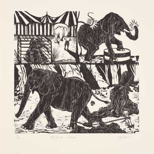 EducaiÃ³n / Education (Elefante Negro)