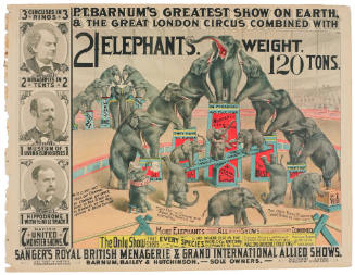 P.T. Barnum's Greatest Show on Earth & The Great London Circus: 21 Elephants