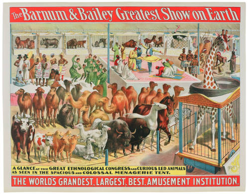 The Barnum & Bailey Greatest Show on Earth: A Glance at the Great Ethnological Congress and Curious Led Animals