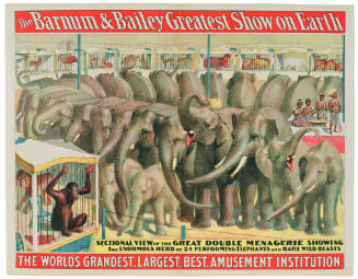 The Barnum & Bailey Greatest Show on Earth: Sectional View of the Great Double Menagerie