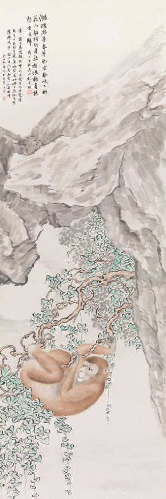 Monkey in Tree in Gorge