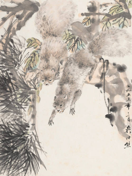 Two Squirrels on a Pine Branch