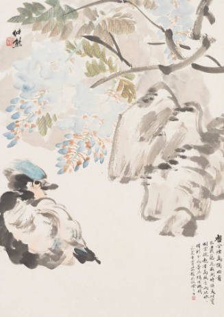 Wisteria and Mandarin Duck