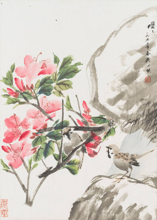 Sparrows on Azalea