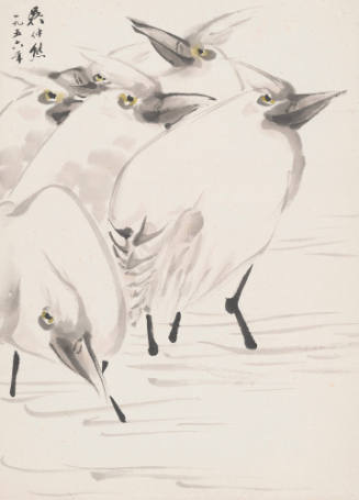 Six Egrets