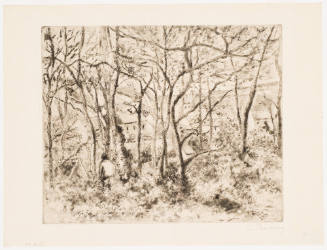 Wooded Landscape at the Herimtage (Pontoise) [Paysage sour bois, à l'Hermitage (Pontoise)]