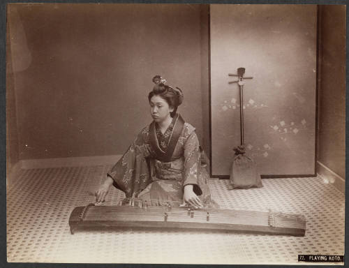 Playing Koto