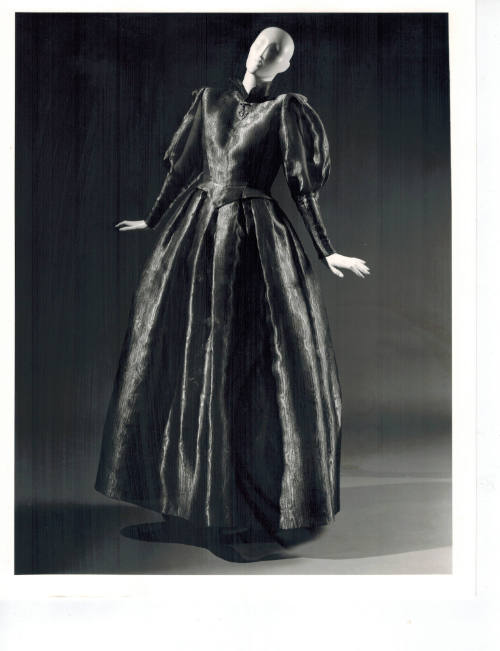 Evening Dress and Pin