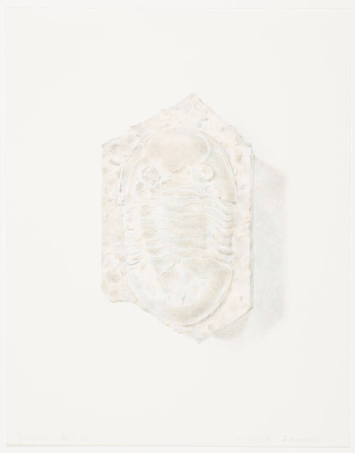 Constance M. McClure