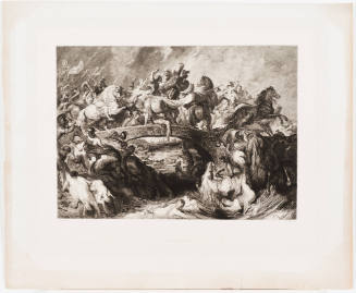 Battle of the Amazons