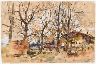 Landscape, Trees