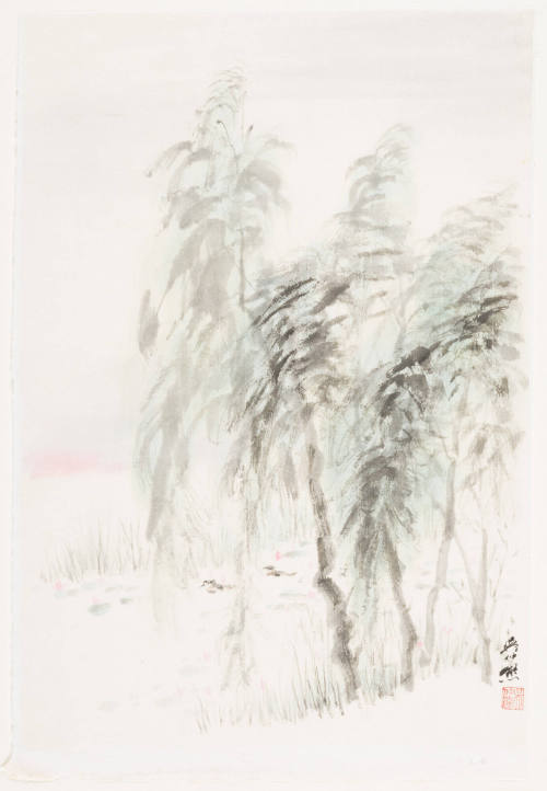 Rainy Trees and Lotus Pond