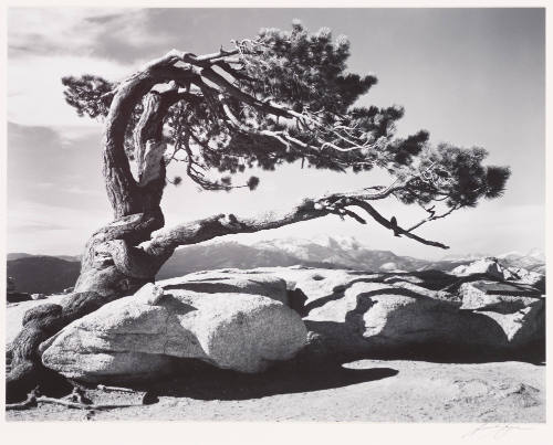 Ansel Adams